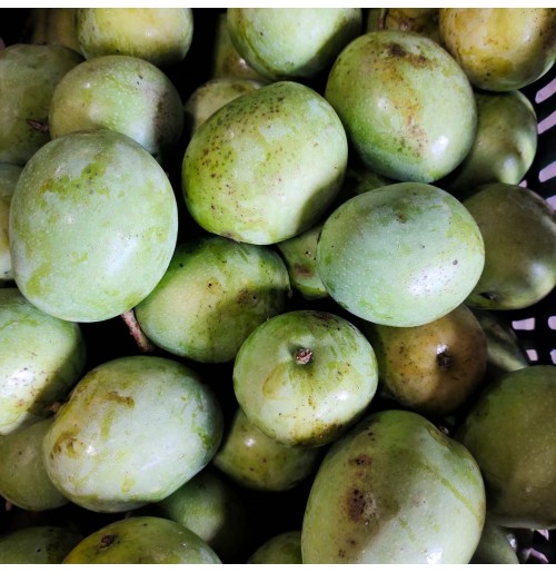 Moovandan Mango (from Kerala)